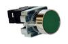 Push-button D22, 1NO 10A 250VAC, IP40, green